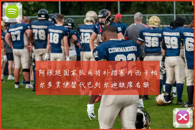 阿根廷国家队或将补招塞内西卡帕尔多贾伊替代巴列尔迪缺席名额